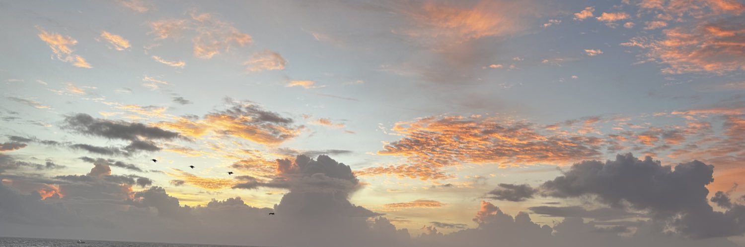 umkaiden's profile banner image