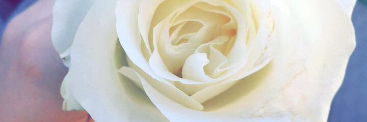 Christinelt06's profile banner image