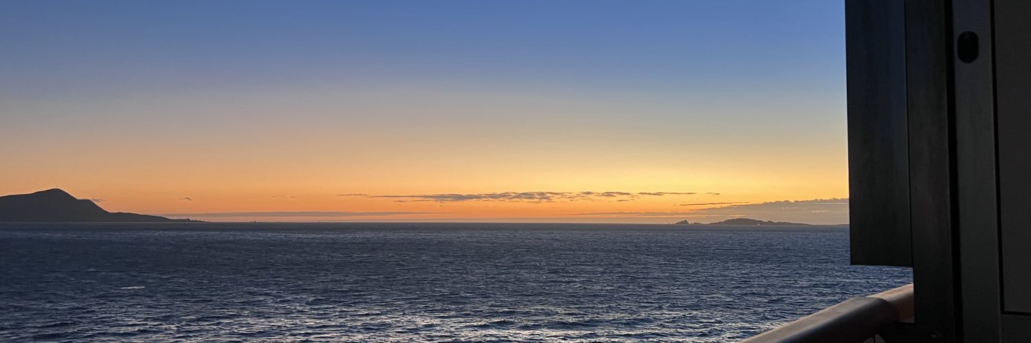 serenaleos's profile banner image