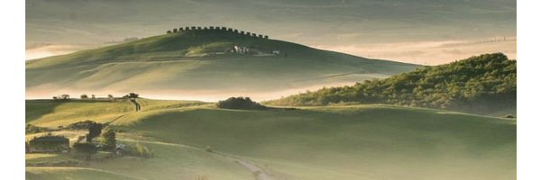 rqskye Profile Banner