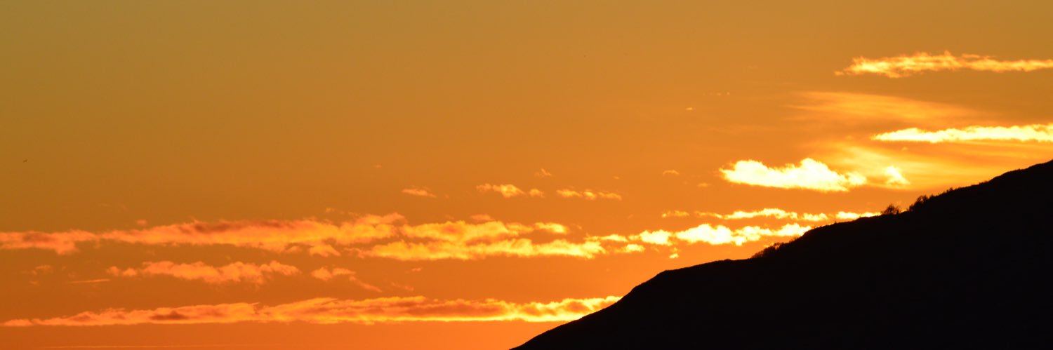 LauraEv1441's profile banner image