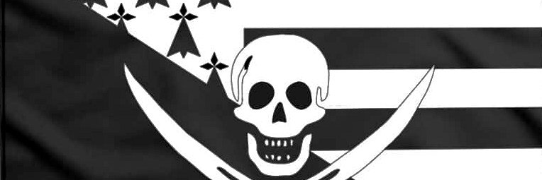 Vic le Viking 29 🇨🇵 𝍎𝌆🇮🇪⚔️⚔️Soutien 🇮🇱🎗️'s banner