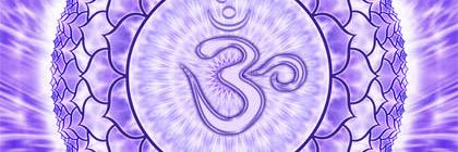 g__quevedo's profile banner image
