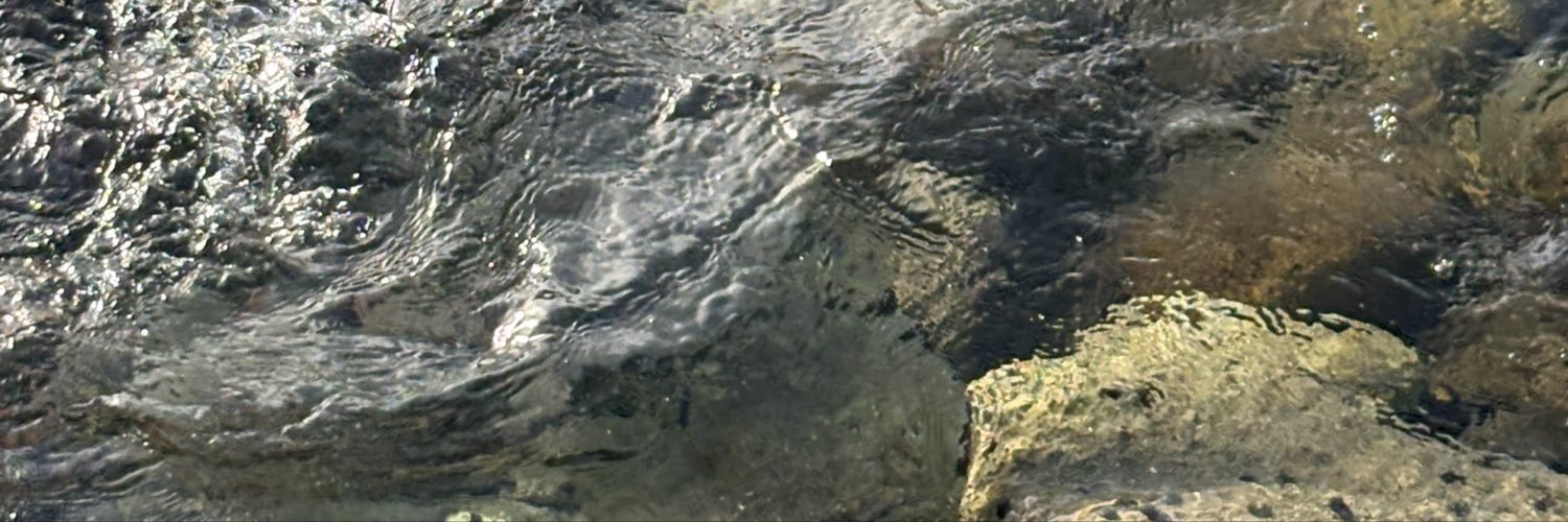 zkeliaa's profile banner image