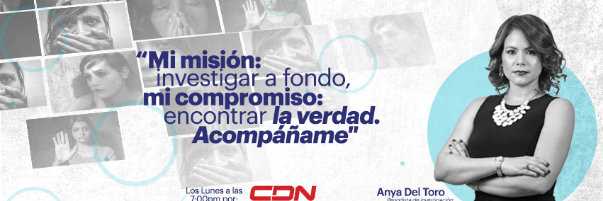 anyadeltoro's profile banner image