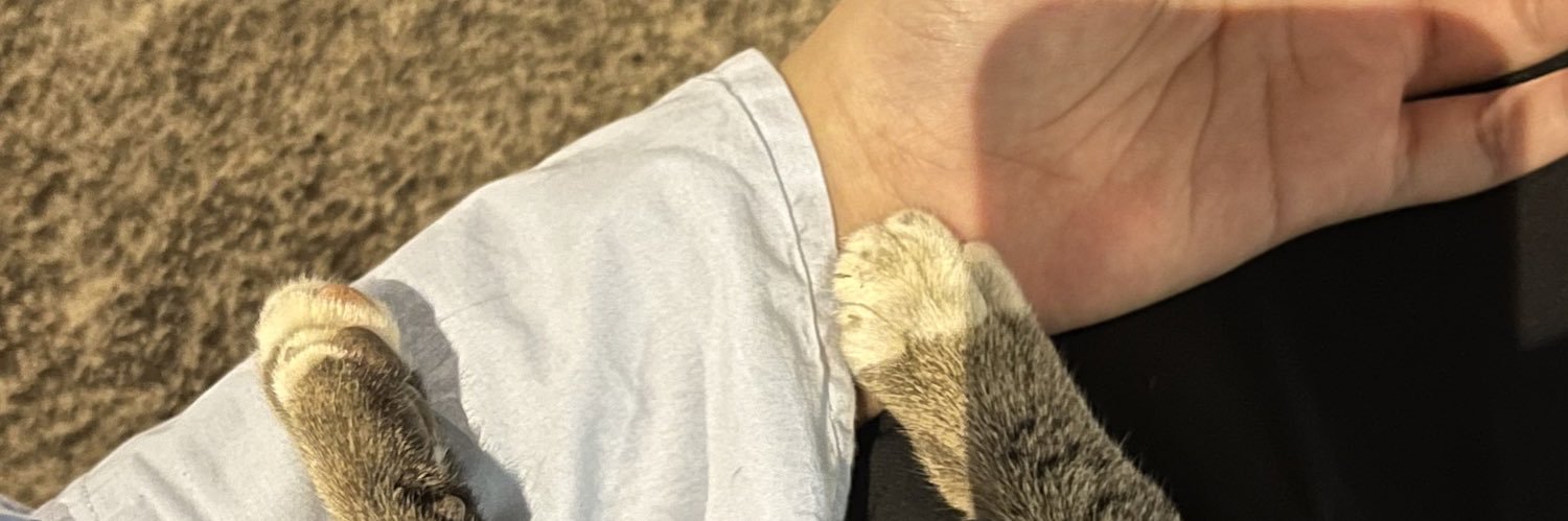 lovusonggu's profile banner image