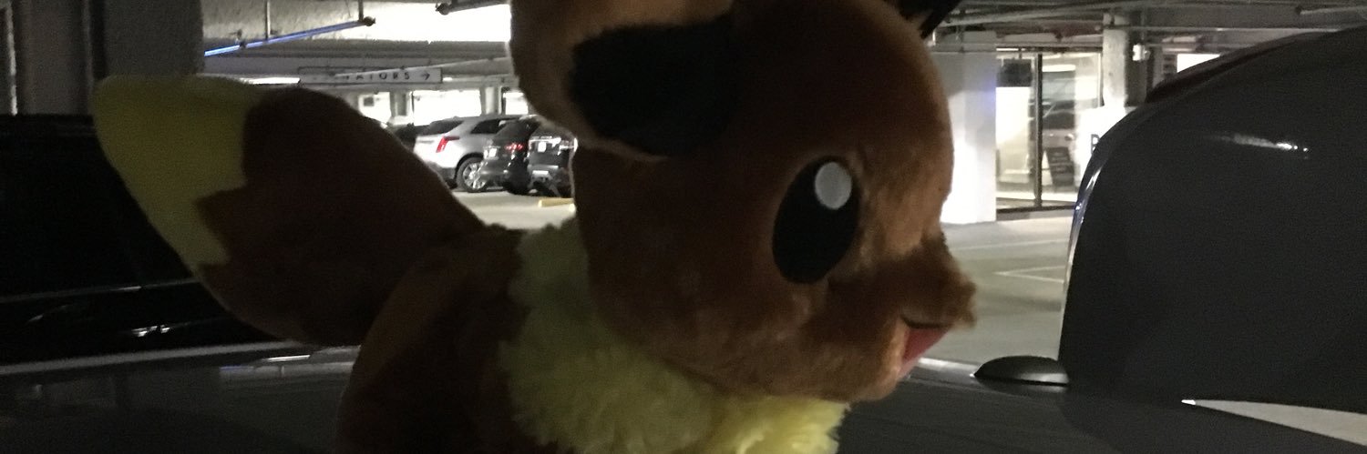 donceluzza's profile banner image