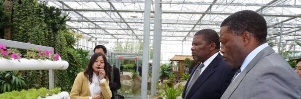 ywang2005b Profile Banner