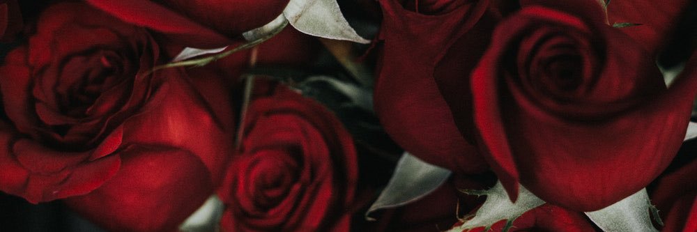 jayceedoll's profile banner image