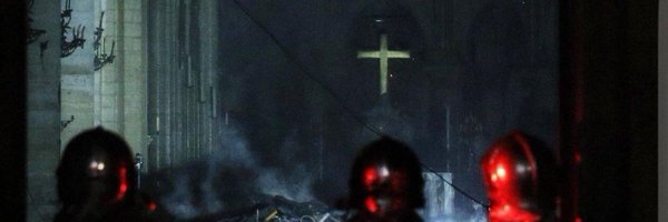 DoggieLine Profile Banner