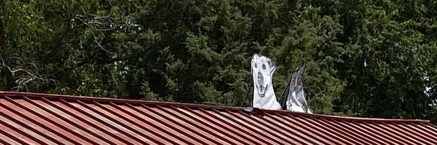 RNderful's profile banner image