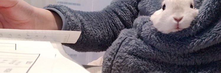 H banner