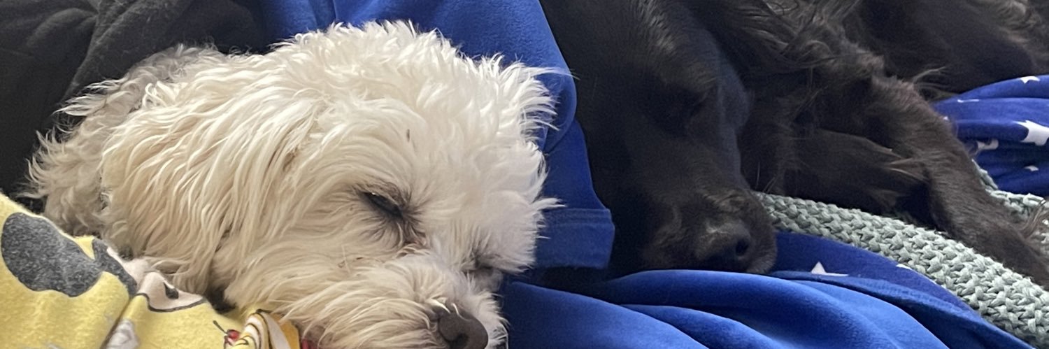 Michelle B (she/her) banner