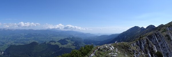 BearConnect Profile Banner