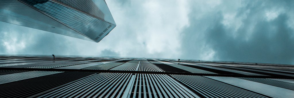 Maximus Kim banner