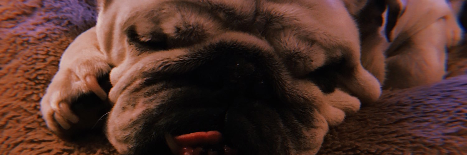jayylevv20's profile banner image