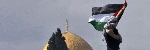 hypatie 🇩🇿🍉's banner