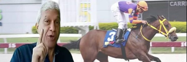 BOBLOVERA Profile Banner