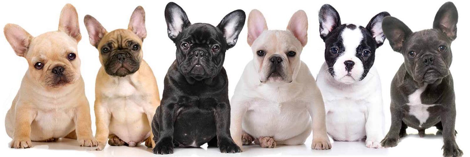 Deanna Barron banner