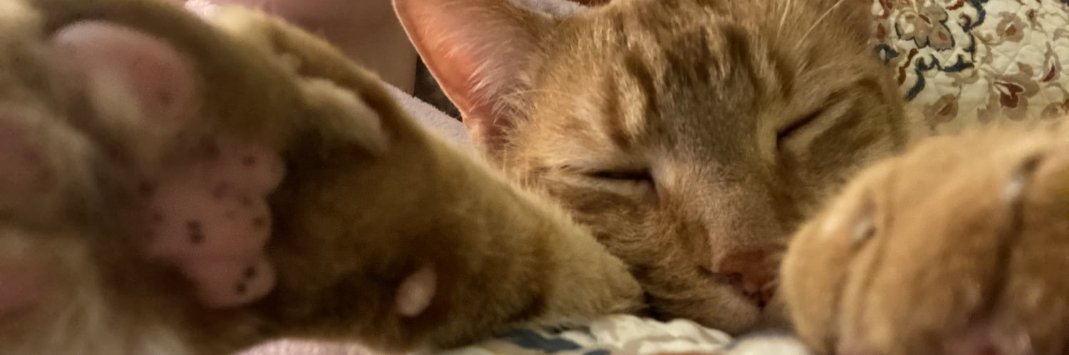 sylvia_rose16's profile banner image