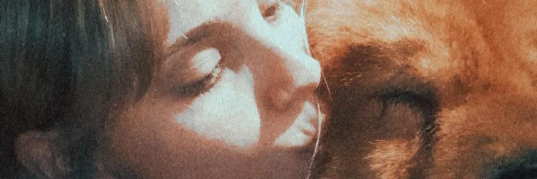MagaliMelchior's profile banner image