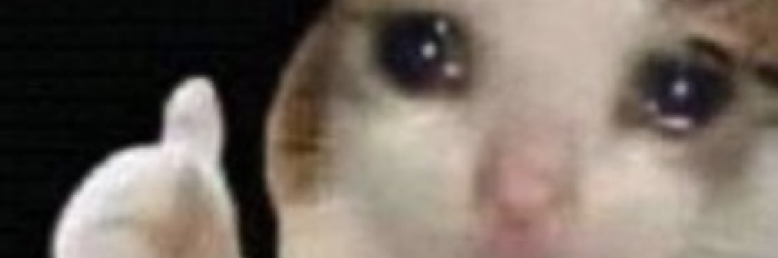 ashalayy6's profile banner image