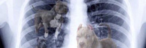 Jawdropper_'s profile banner image