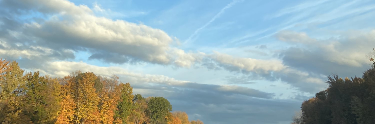 _merrrlie's profile banner image