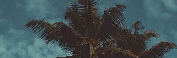 DamianAponte_'s profile banner image