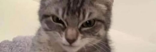 MarcEspindol's profile banner image