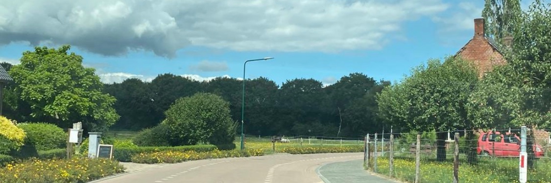 Meyou banner