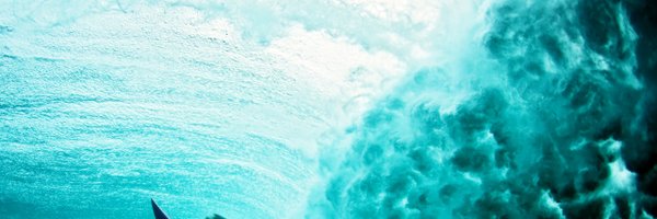grok_water Profile Banner