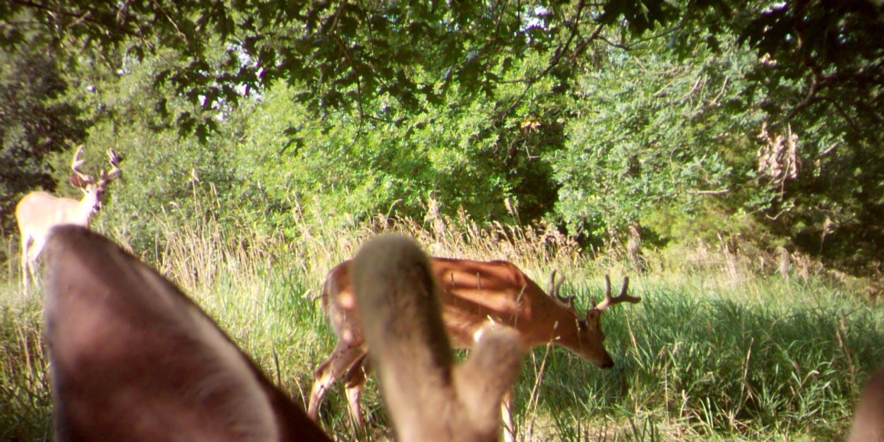 collinsjosh61's profile banner image