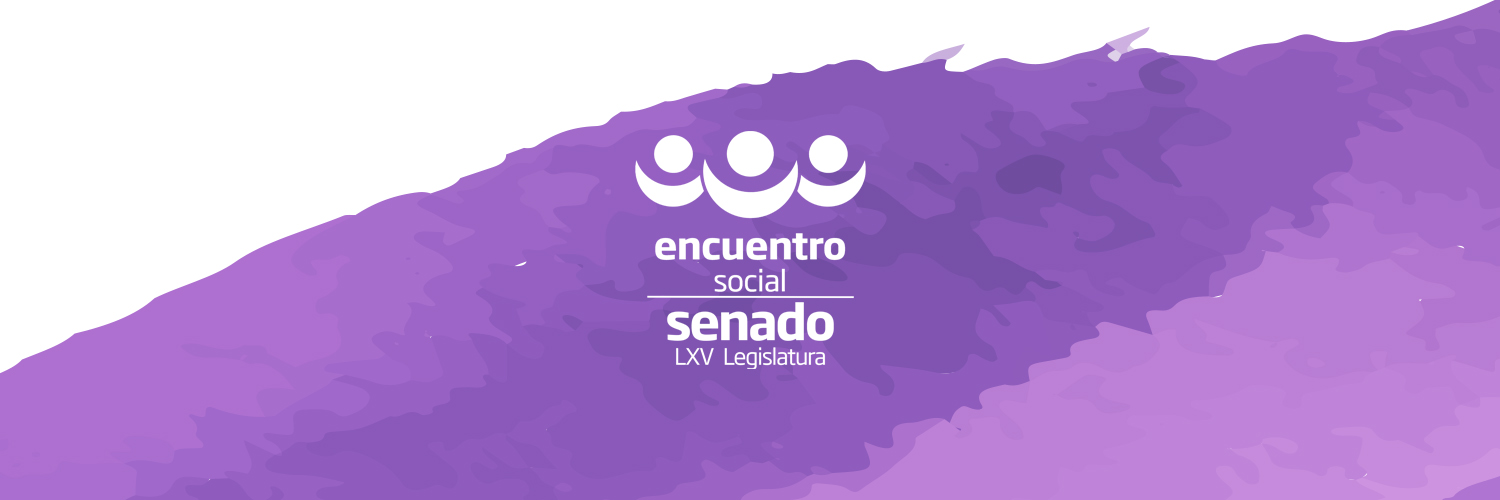 Encuentro Social Senado banner