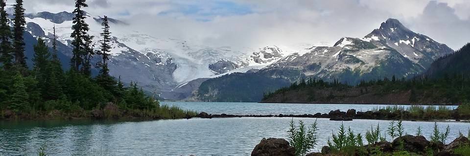 Piper 🇨🇦 🍁🌻🌸🌻🌼🦋 banner