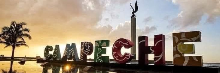 mifavela's profile banner image