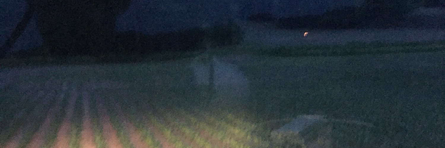 buss_9's profile banner image