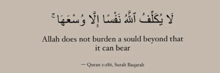 Tairu 👨🏽‍💻 banner