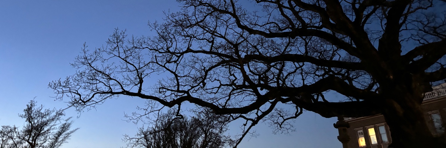 The City as Liturgy... banner