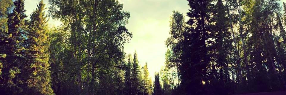 fstalaska's profile banner image