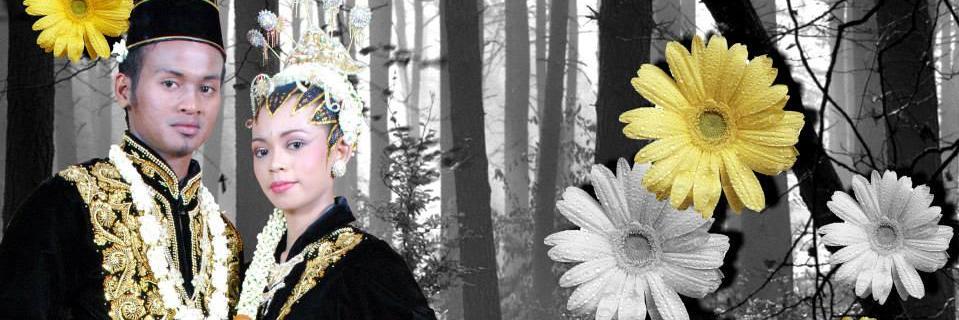 junijoen's profile banner image