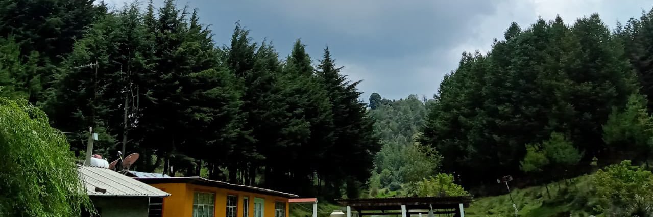 vhblopez's profile banner image