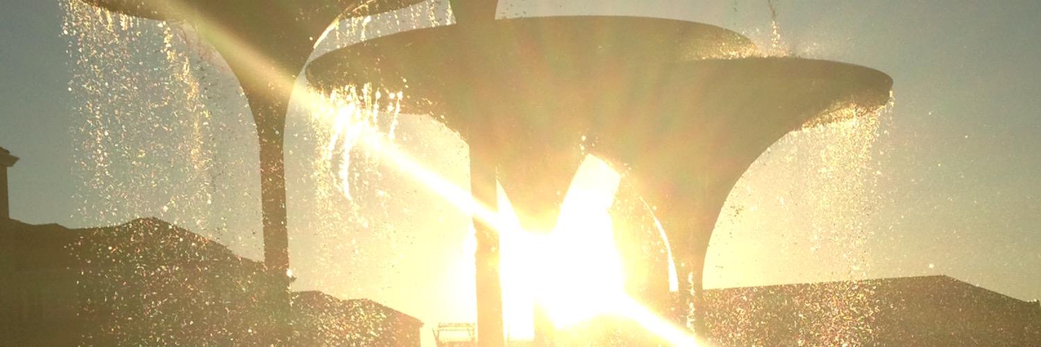 MorganMings's profile banner image