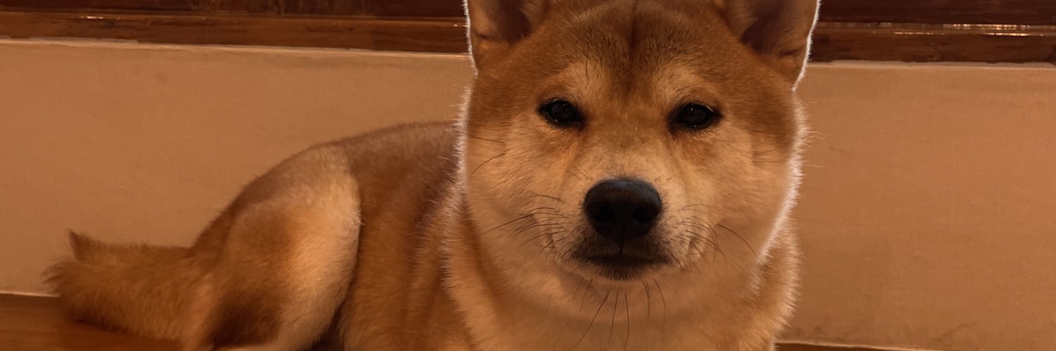 HanunHanun13's profile banner image