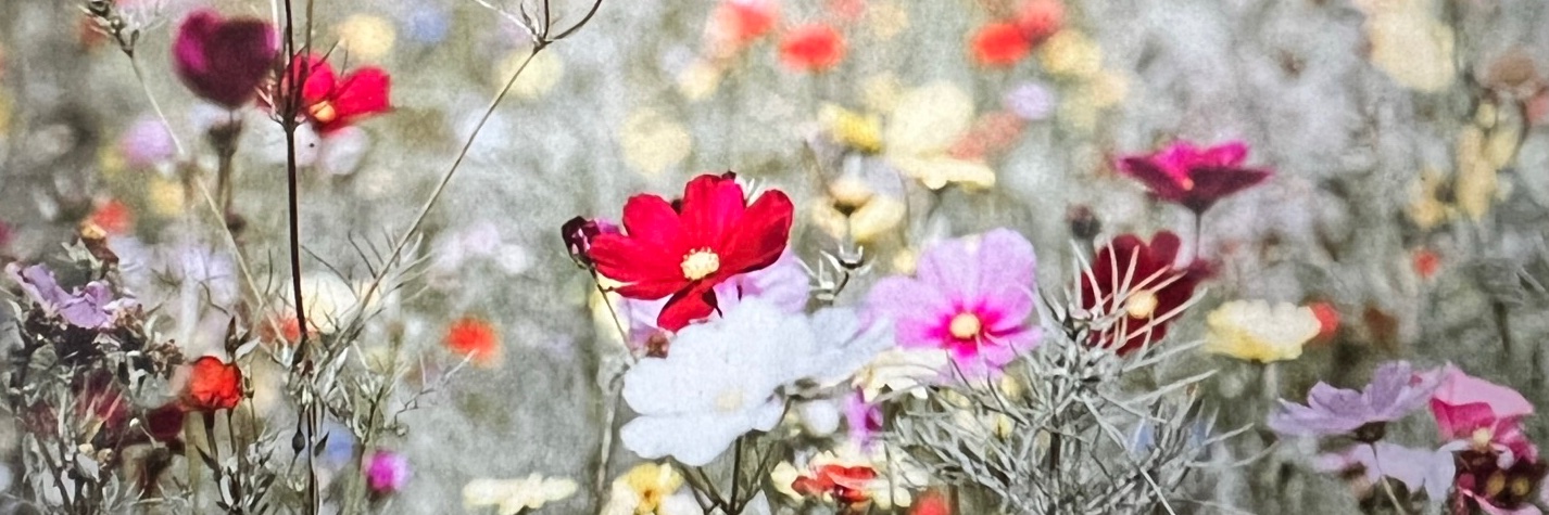 annasound1's profile banner image