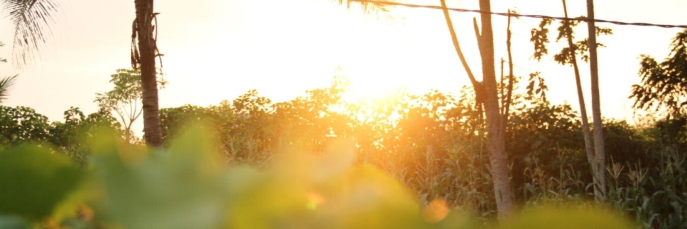 perdipardila's profile banner image