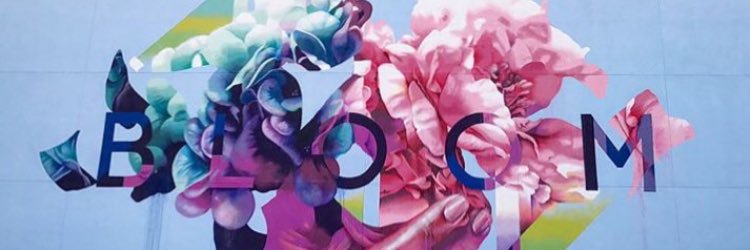 VelvetBarrock's profile banner image