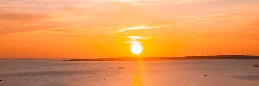 picknavers's profile banner image