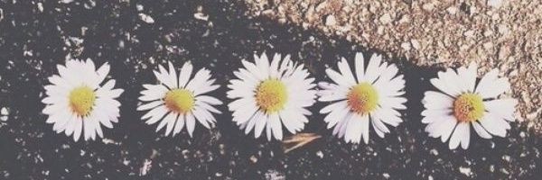 Riris_18's profile banner image
