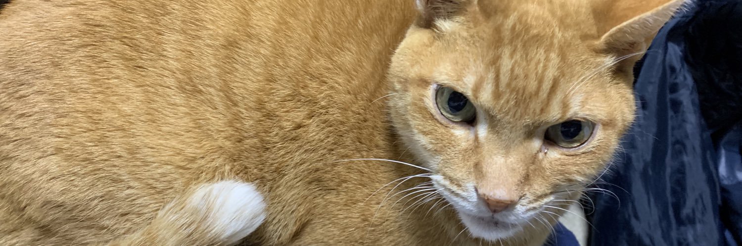 人乃路綾丸 banner